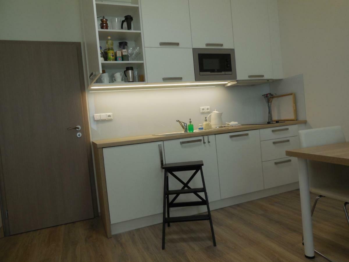 Apartment Potter Brno Buitenkant foto